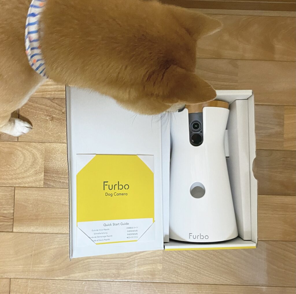 【Furbo】Furboドッグカメラをお得に購入！実際に使ってみた感想 - omisoのソトアソビ。